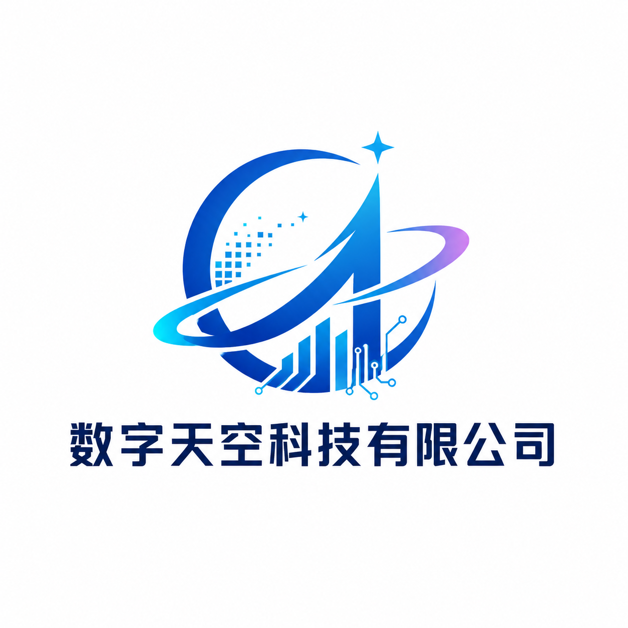 数字天空科技有限公司
